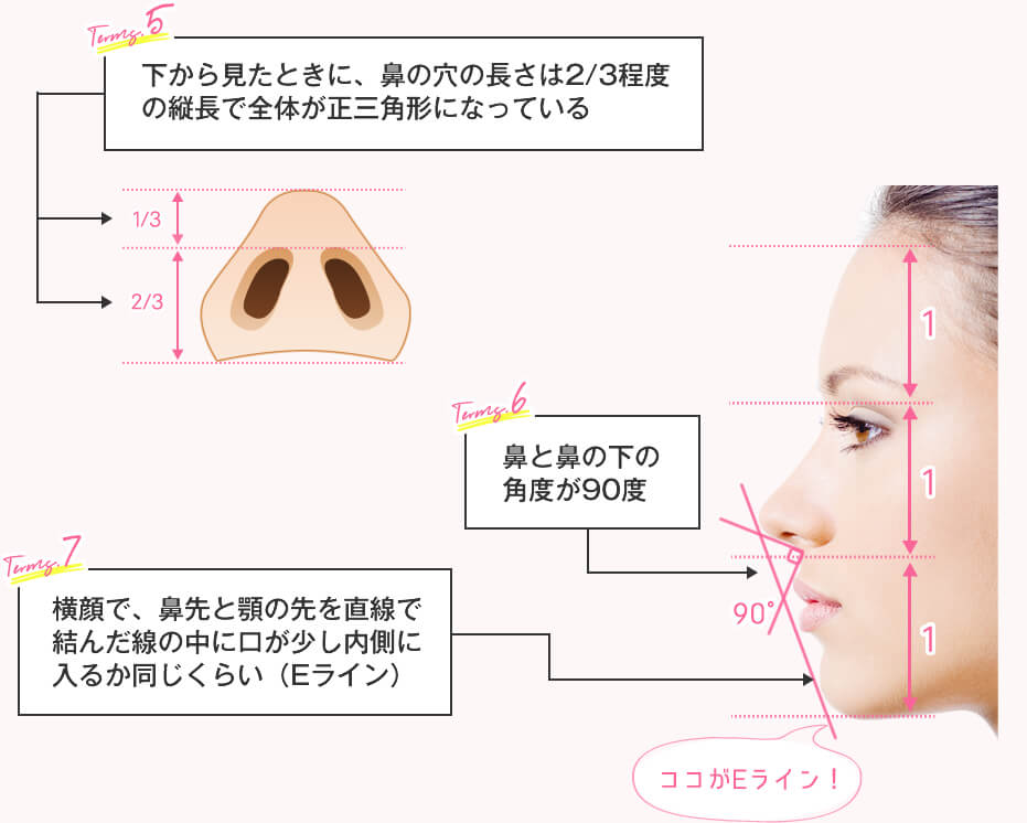 美鼻を作る7つの条件